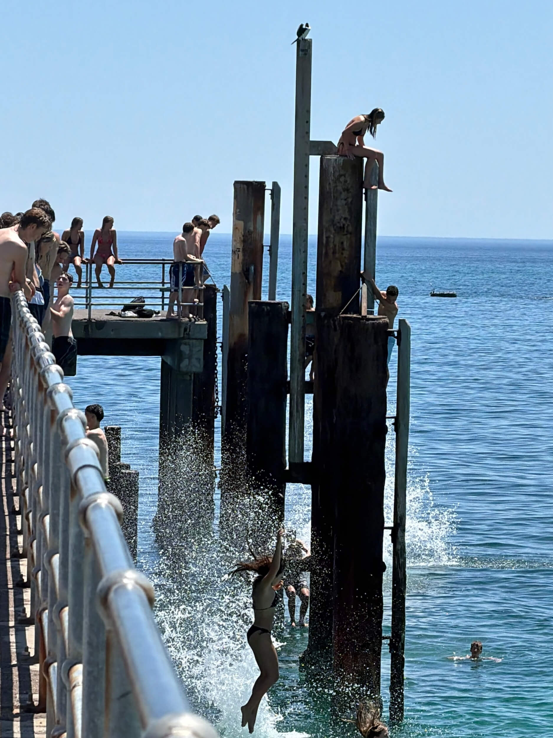 Young people at Glenelg jetty leaping and splashing into the water from pylons of different heights on a glorious Summer day with a bright blue sky and sea. 